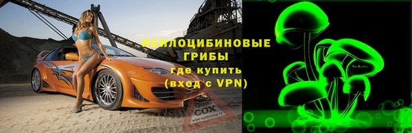 прущие грибы Аркадак