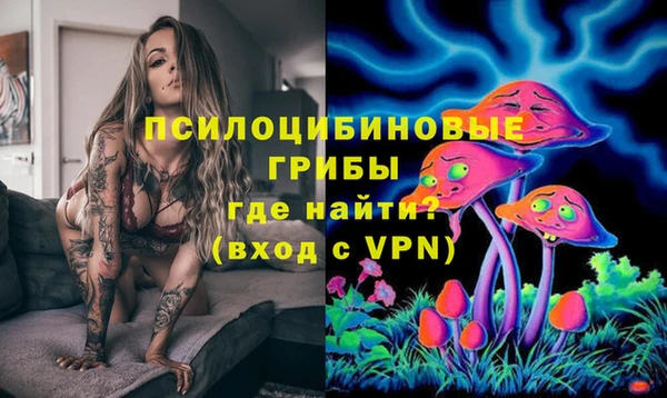 дживик Армянск