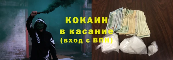 прущие грибы Аркадак