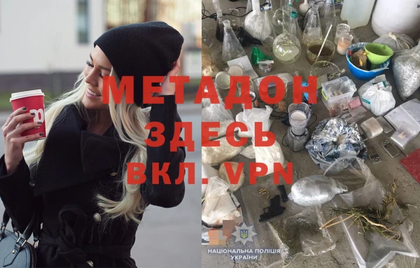 прущие грибы Аркадак