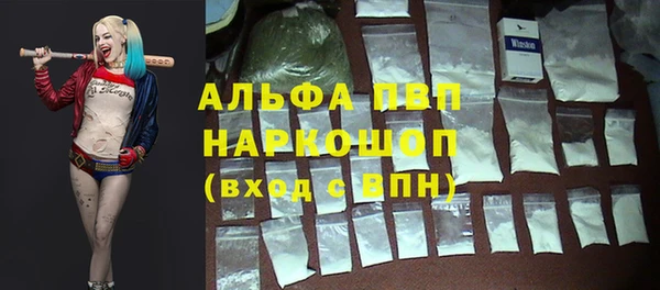 spice Арсеньев