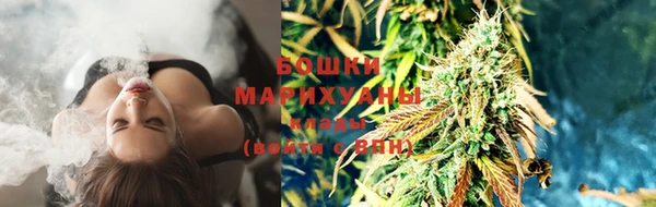 spice Арсеньев