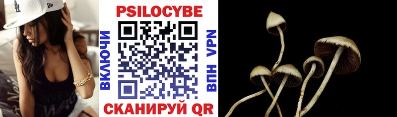 Псилоцибиновые грибы Psilocybe  купить  сайты  Ханты-Мансийск 